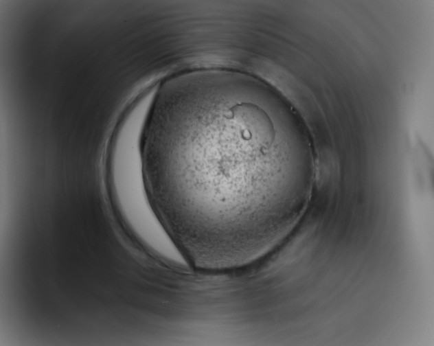 X0000093210438200710101329