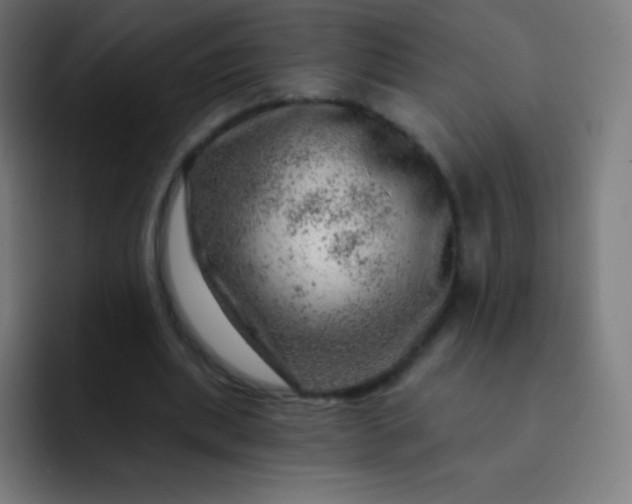 X0000093210439200710101329