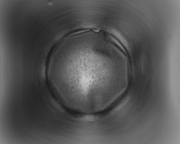 X0000093210441200710101329