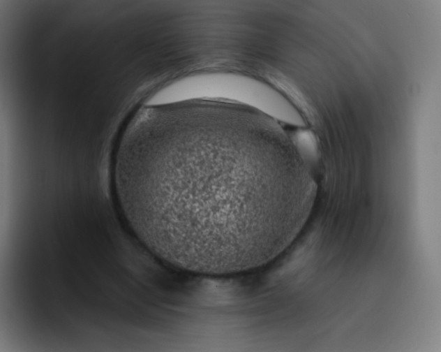 X0000093210442200710101329