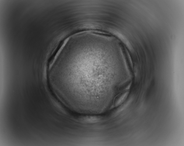 X0000093210445200710101329