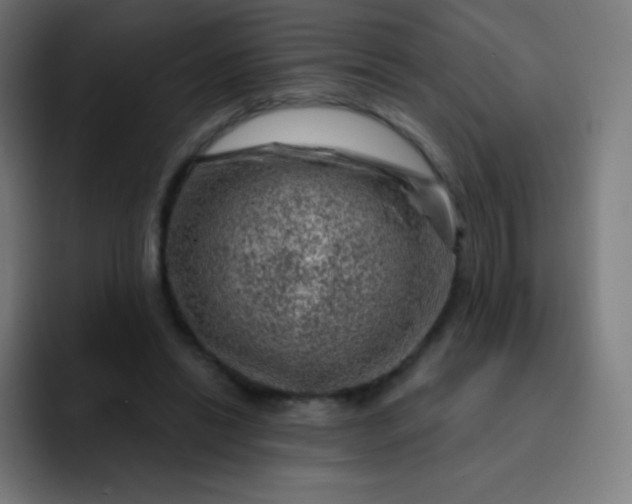 X0000093210446200710101329