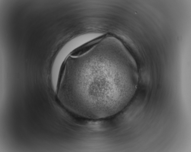 X0000093210450200710101329