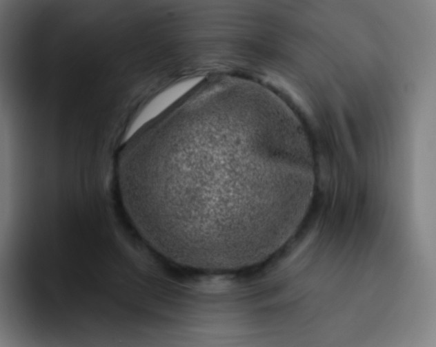 X0000093210451200710101329