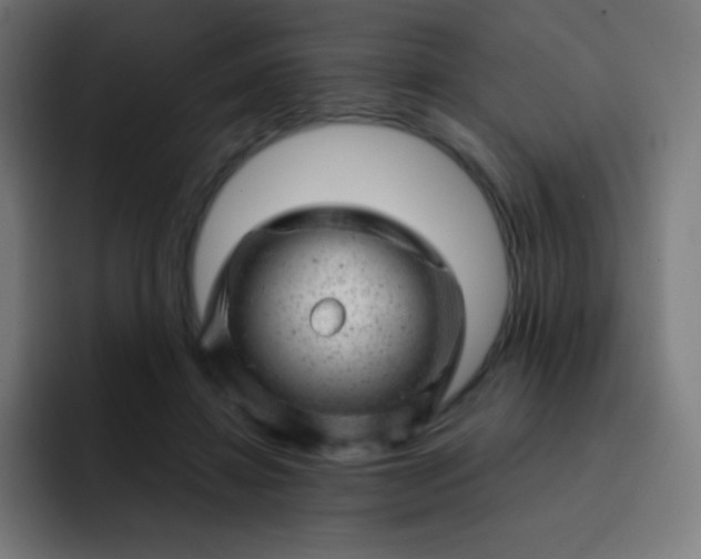 X0000093210452200710101329