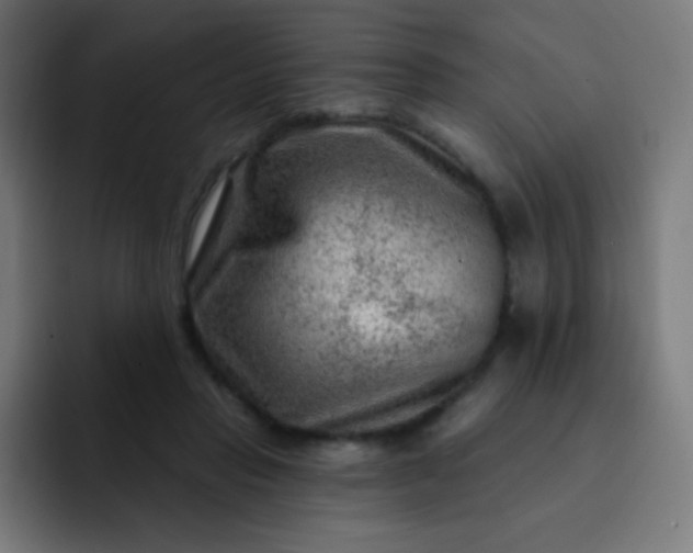 X0000093210453200710101329