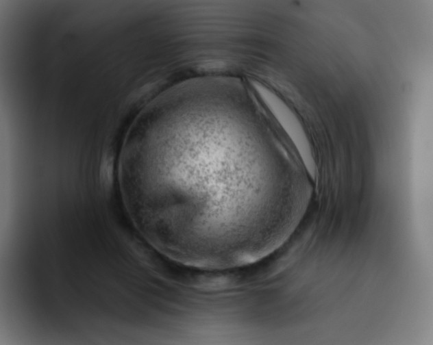 X0000093210454200710101330