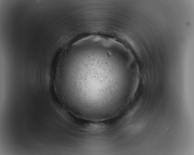 X0000093210455200710101330