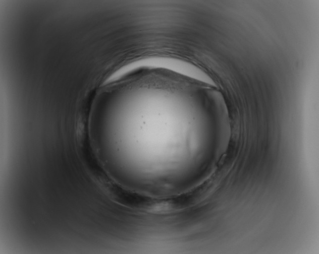 X0000093210456200710101330