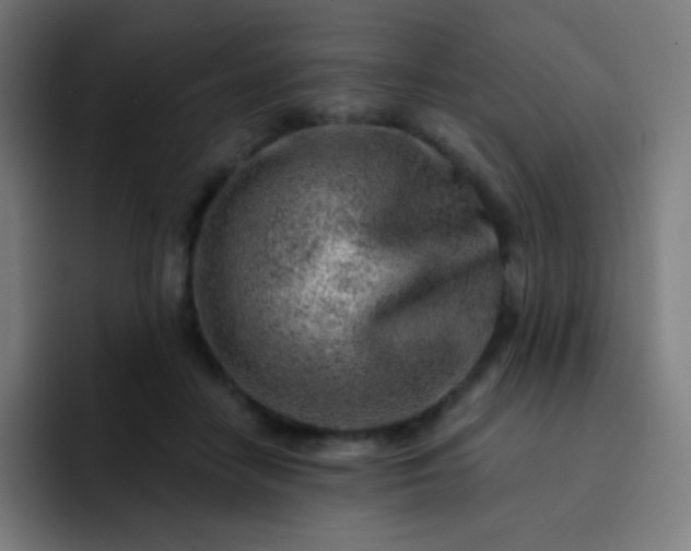 X0000093210458200710101330