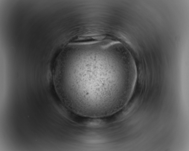 X0000093210459200710101330