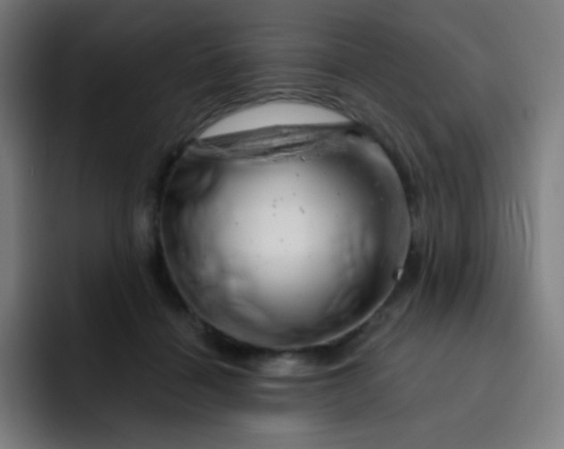 X0000093210460200710101330