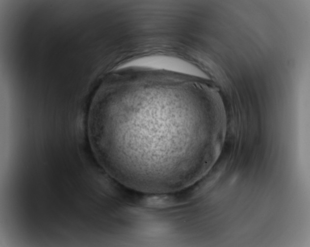 X0000093210461200710101330