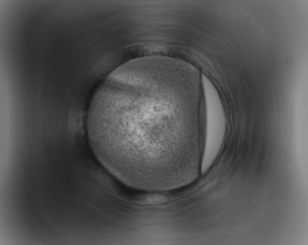 X0000093210462200710101330