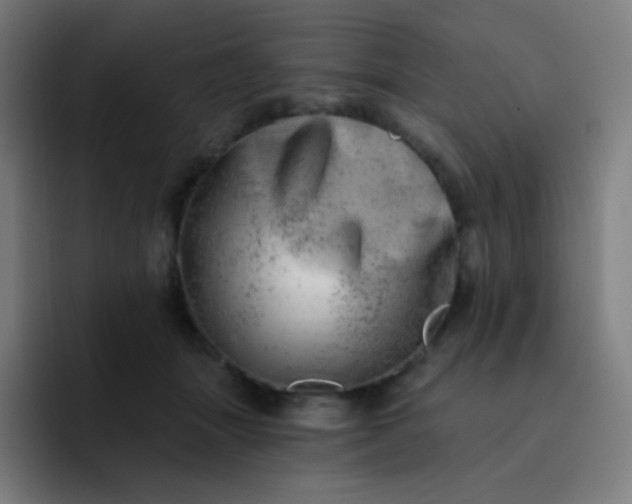 X0000093210463200710101330