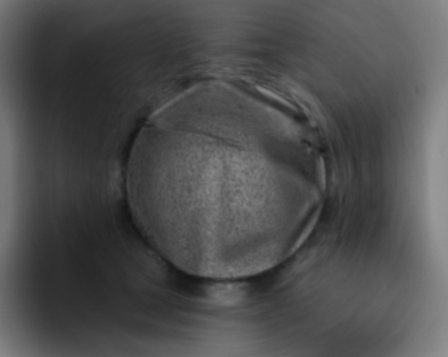 X0000093210465200710101330