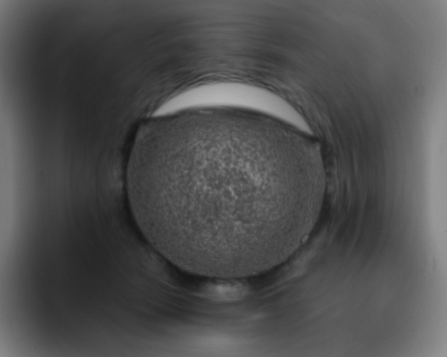 X0000093210466200710101330