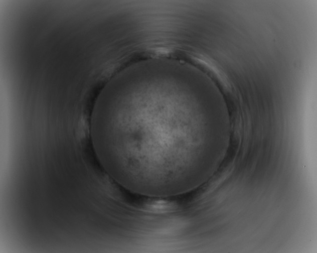 X0000093210467200710101330