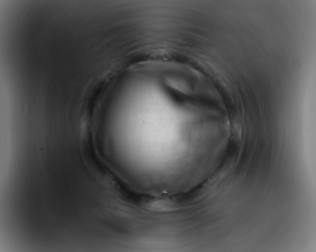 X0000093210468200710101330