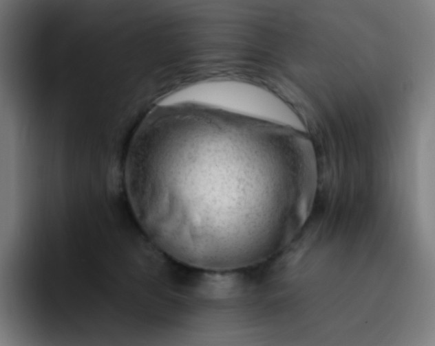 X0000093210469200710101330