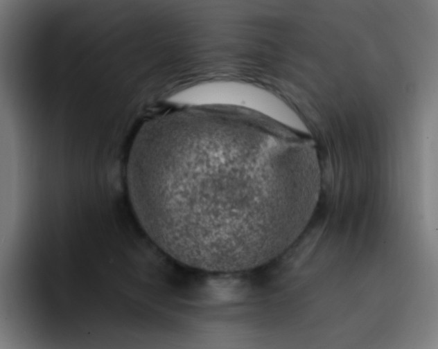 X0000093210470200710101330