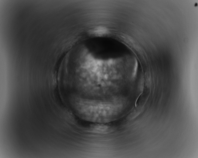 X0000093210471200710101330