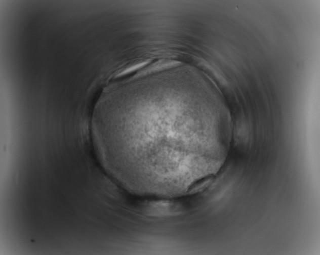 X0000093210473200710101330