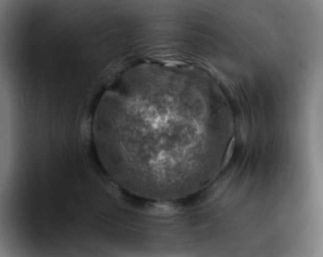 X0000093210475200710101330