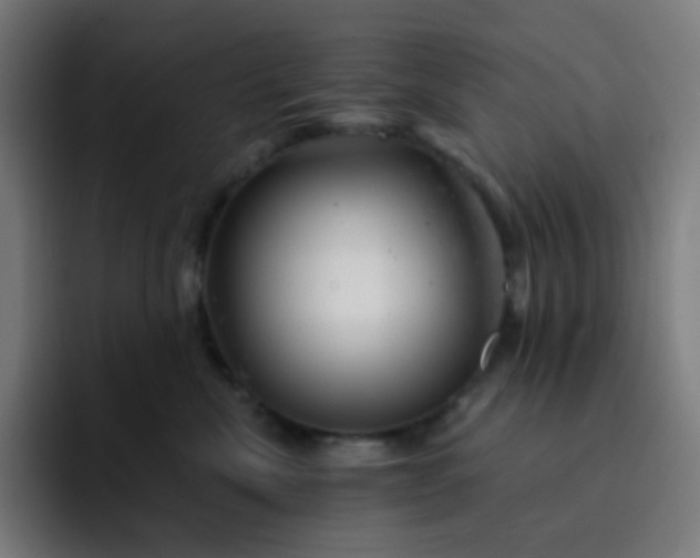 X0000093210476200710101330