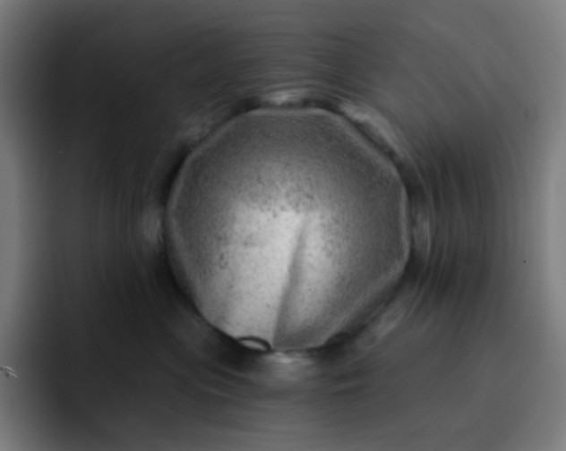 X0000093210477200710101330