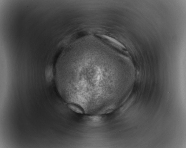 X0000093210478200710101330