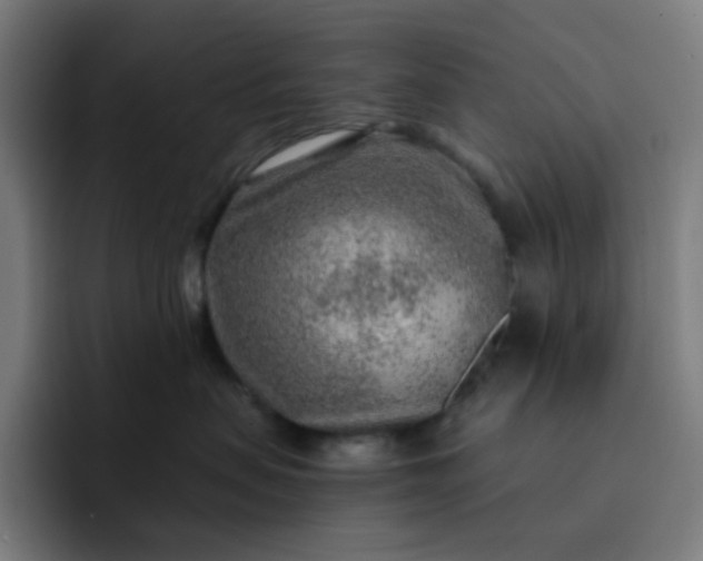 X0000093210479200710101330