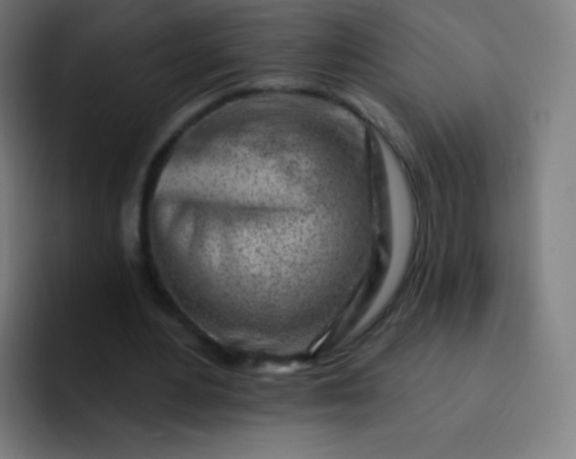 X0000093210484200710101329