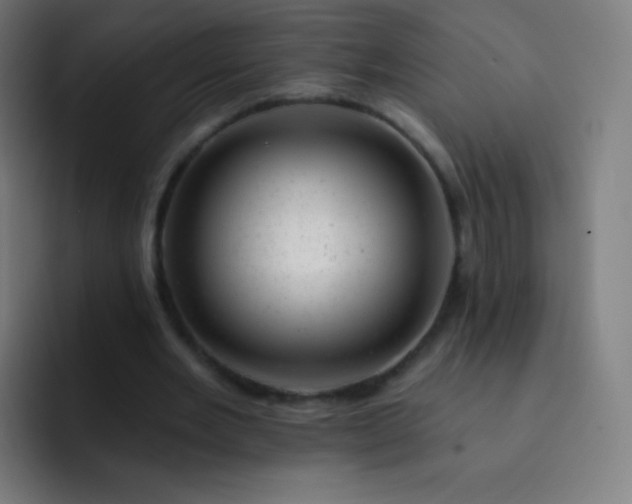 X0000093210485200710101329