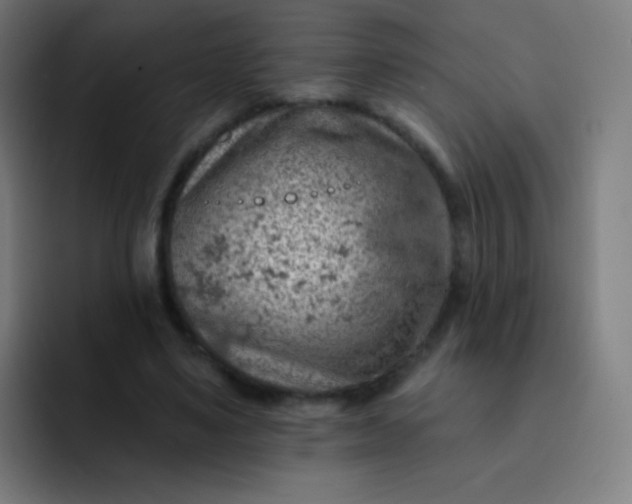 X0000093210491200710101329