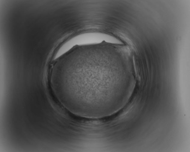 X0000093210492200710101329