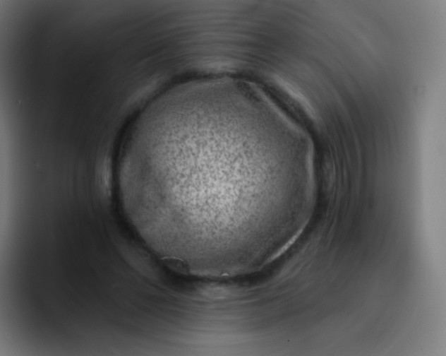 X0000093210494200710101329