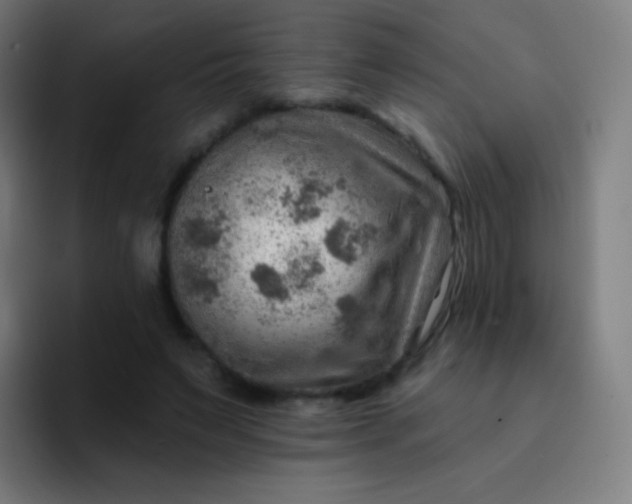 X0000093210495200710101329