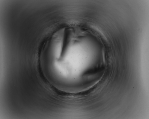 X0000093210498200710101329