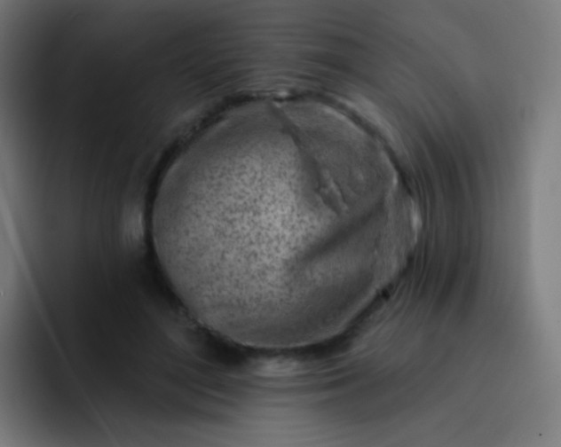 X0000093210500200710101329