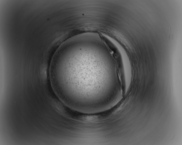 X0000093210501200710101329