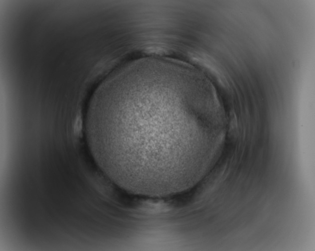 X0000093210502200710101329