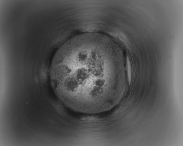 X0000093210503200710101329