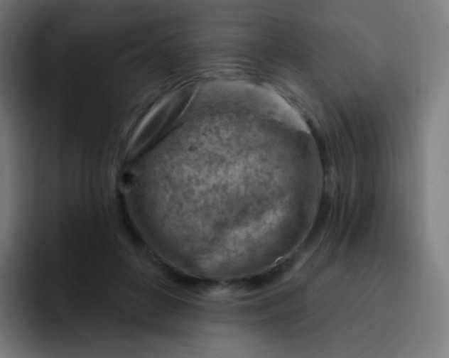 X0000093210504200710101329