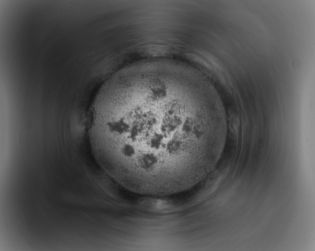 X0000093210507200710101329