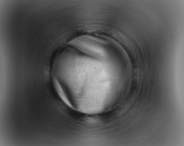 X0000093210510200710101329