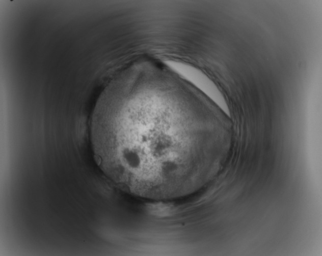 X0000093210511200710101329