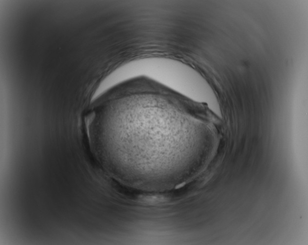 X0000093210512200710101329