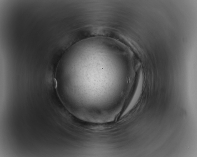 X0000093210513200710101329