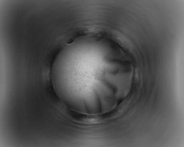 X0000093210514200710101329